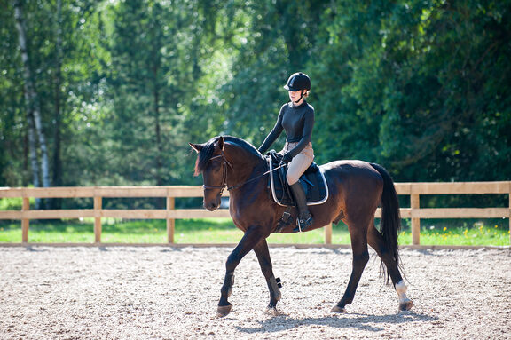 equipement-cours-equitation.jpg